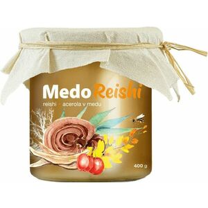 MYCOMEDICA MedoReishi 400 g obraz