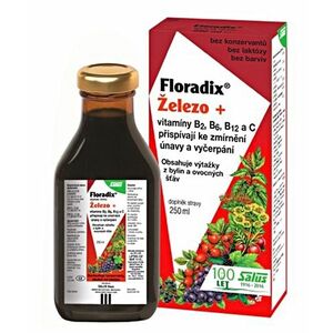 SALUS Floradix Železo+ 500 ml obraz