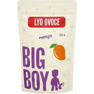 BIG BOY Mango plátky lyofilizované Eko varianta 130 g obraz