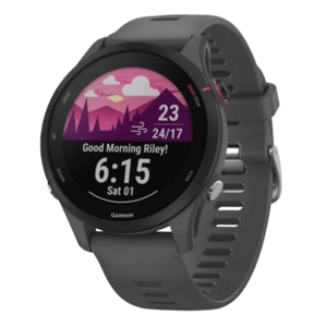 GARMIN Forerunner 255 Slate Grey obraz