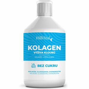 HillVital Kolagen - podpora kloubů - POŠKOZENÝ OBAL obraz