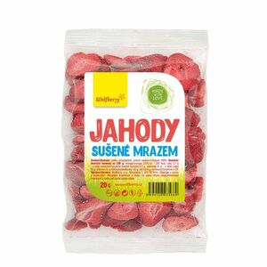 Wolfberry Jahody sušené plody 20 g obraz