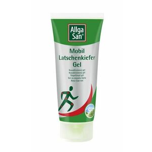 Allga san Kosodřevinový gel 100 ml obraz