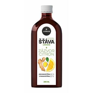 Leros 100% šťáva Zázvor a citron 250 ml obraz