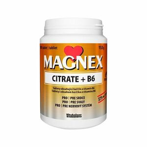 Vitabalans Magnex citrate 375 mg + B6 100 tablet obraz