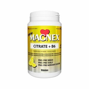 Vitabalans Magnex citrate 375 mg + B6 100 žvýkacích tablet obraz