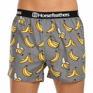 Horsefeathers Pánské trenky Frazier Bananas (AM166I) L obraz