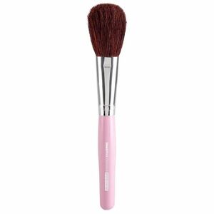 Diva & Nice Cosmetics Accessories Brush štětec na pudr MAX 491/1 1 ks obraz