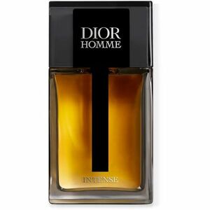 DIOR Dior Homme Intense parfémovaná voda pro muže 100 ml obraz