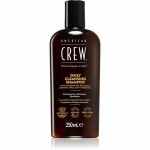 American Crew Daily Cleansing Shampoo denní šampon pro muže 250 ml obraz