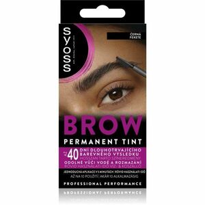 Syoss Brow Tint barva na obočí odstín Černá 10 ml obraz