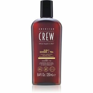 American Crew 3 in 1 Ginger + Tea 3 v 1 šampon, kondicionér a sprchový gel pro muže 250 ml obraz