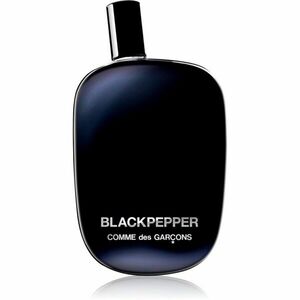 Comme des Garçons Blackpepper parfémovaná voda unisex 100 ml obraz