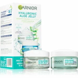 Garnier Hyaluronic Aloe Jelly sada pro péči o pleť na den i noc obraz