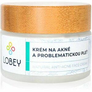 Lobey Skin Care Anti-Acne Face Cream krém na aknózní pleť 50 ml obraz