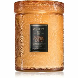 VOLUSPA Japonica Holiday Spiced Pumpkin Latte vonná svíčka 156 g obraz