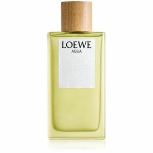 Loewe Agua toaletní voda unisex 150 ml obraz