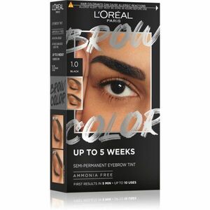 L’Oréal Paris Brow Color barva na obočí odstín 1.0 Black 1 ks obraz