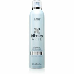 ASP kitoko Arte Extend Dry Shampoo suchý šampon 300 ml obraz