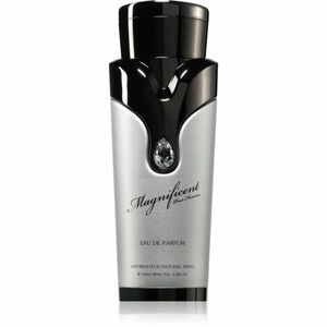 Armaf Magnificent Pour Homme parfémovaná voda pro muže 100 ml obraz