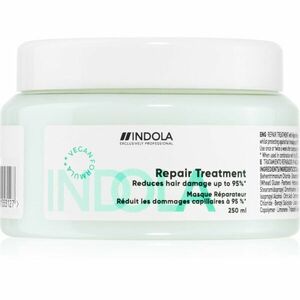 Indola Repair Treatment vyživující péče pro poškozené vlasy 250 ml obraz