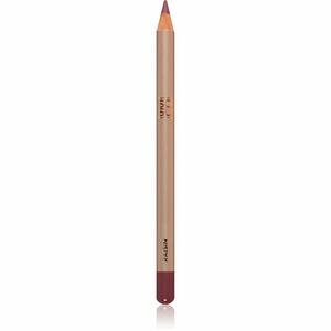 SOSU Cosmetics Precision Lip Liner konturovací tužka na rty odstín Raisin 1.4 g obraz