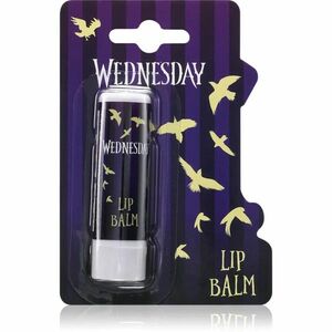 Wednesday Lip Balm balzám na rty Strawberry 4.4 g obraz