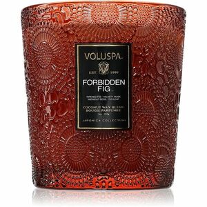 VOLUSPA Japonica Forbidden Fig vonná svíčka 255 g obraz