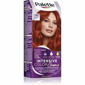 Schwarzkopf Palette Intensive Color Creme permanentní barva na vlasy odstín 7-887 (RV6) Scarlet Red 1 ks obraz