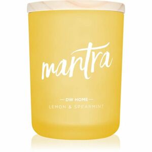 DW Home Zen Mantra vonná svíčka 428 g obraz