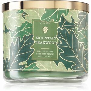 Bath & Body Works Mountain Teakwood vonná svíčka 411 g obraz