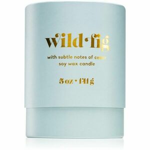 Paddywax Petite Wild Fig vonná svíčka 141 g obraz