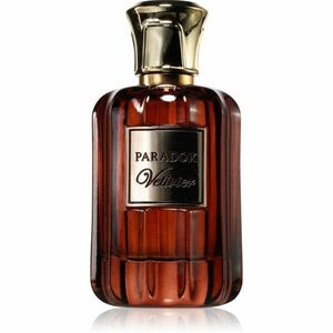 French Avenue Paradox Vetiver parfémovaná voda pro muže 100 ml obraz