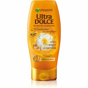 Garnier Ultra Doux Argan Oil and Camelia výživný balzám pro suché vlasy 200 ml obraz