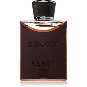 Fragrance World Ebony Scent Intense parfémovaná voda pro muže 100 ml obraz