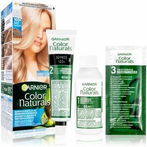 Garnier Color Naturals Creme barva na vlasy odstín 102+ Frosty Silver 1 ks obraz