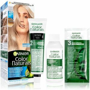 Garnier Color Naturals Creme barva na vlasy odstín 103+ ledově popelavá 1 ks obraz