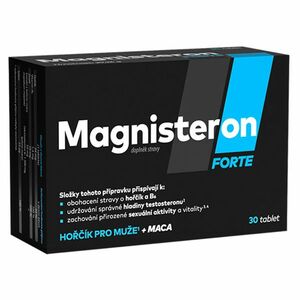 MAGNISTERON Forte 30 tablet obraz