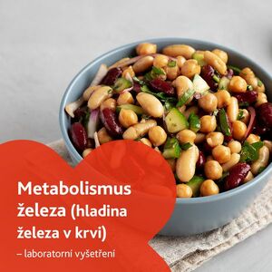 Metabolismus železa (hladina železa v krvi) - laboratorní vyšetření obraz