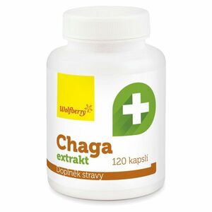 WOLFBERRY Chaga extrakt 120 kapslí obraz