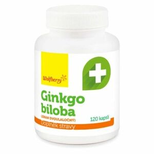 WOLFBERRY Ginkgo biloba 120 kapslí obraz