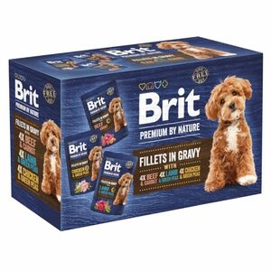 BRIT Premium Dog Fillets Gravy Multipack 1020 g obraz