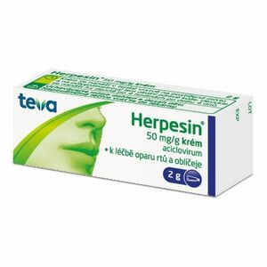 HERPESIN Krém 5 % 2 g obraz