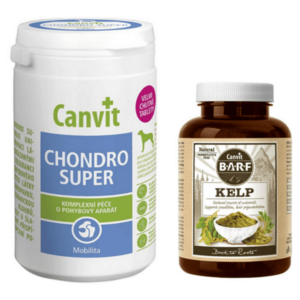 CANVIT Chondro Super 230 g + CANVIT BARF Kelp pro psy 60 g ZDARMA obraz