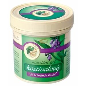 GREEN IDEA Kostivalový gel 250 ml obraz