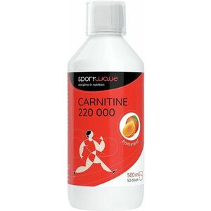 SPORTWAVE Carnitine 220000 orange 500 ml obraz