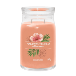 Yankee Candle Tropical Breeze vonná svíčka Signature 567 g obraz