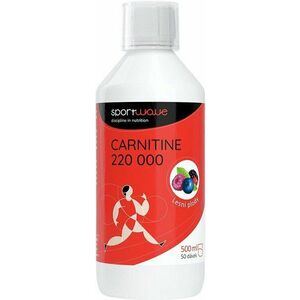 SPORTWAVE Carnitine 220000 forest berries 500 ml obraz