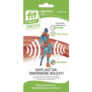 FIT THERAPY Patch Univerzal náplasť 6 ks obraz