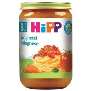 HIPP BIO Boloňské špagety, od 8. měsíce 220 g obraz